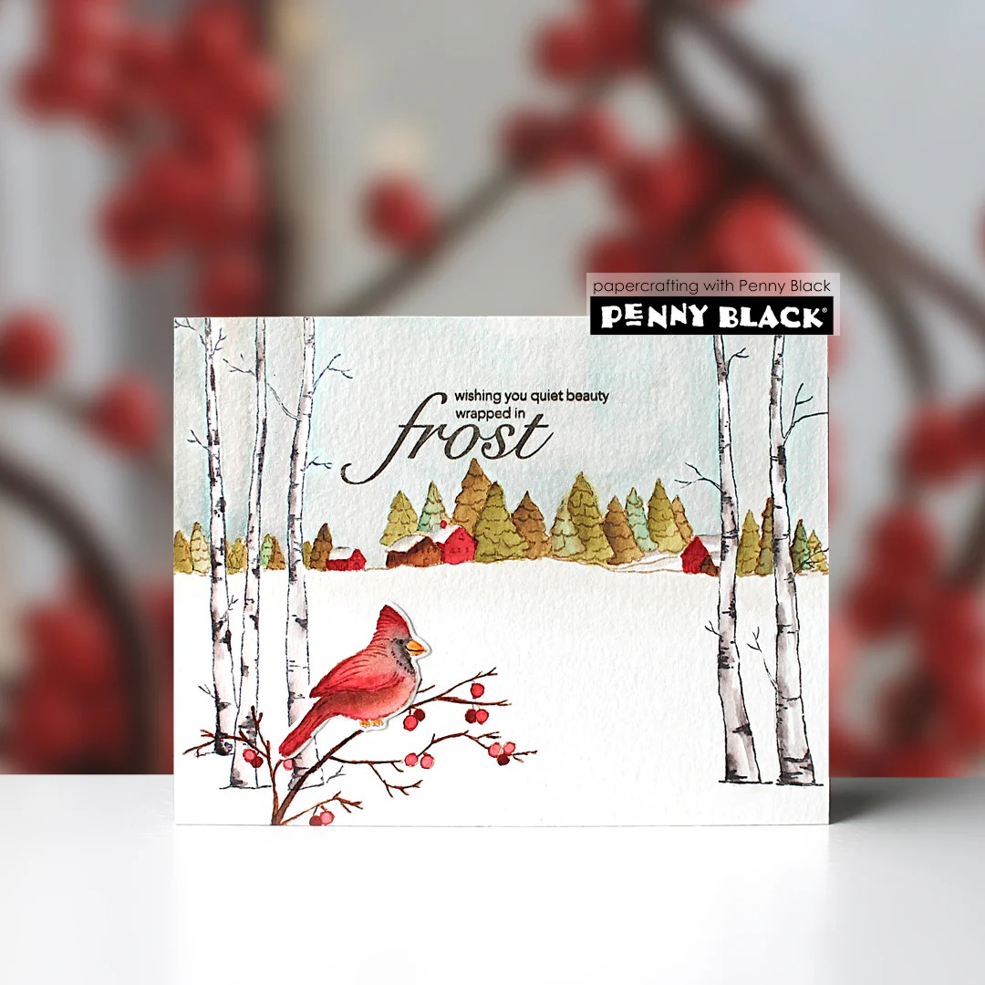 Тихая красота, прозрачные сили – обзор и цена Clear Silicone Stamps For Card Making